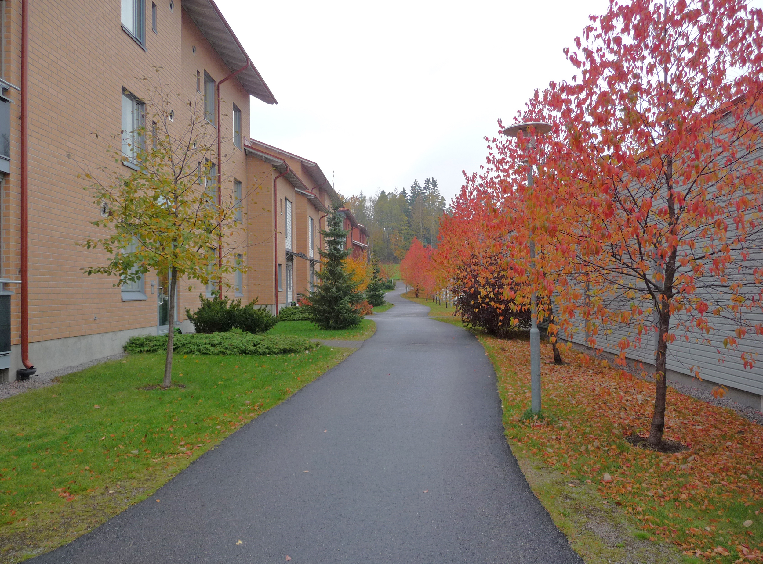 As Oy Tammistonvaari